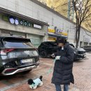옐레드 문래역점 이미지