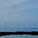 신창싱계물 이미지