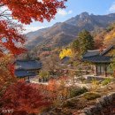 제464차 (11/15) 순천 조계산(장군봉887m) 100대 신청! 이미지