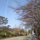 수원팔색길 여우길 이미지