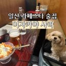 고기사라 | 일산 라페스타 술집 이자카야 사라, 메뉴 추천/애견동반 후기