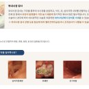 지인내과의원 이미지