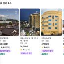 3월 국내여행지 추천 가볼만한 여행지 벚꽃 만개 시기 + 가성비 숙소 추천
