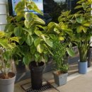 청양자동차공업사 이미지