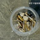 부안 더힐링휴 펜션 이미지