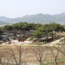 금빛 태양광발전소 이미지