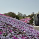 철쭉공원(덕천-4)