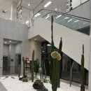 리베르여성병원 | 수원 리베르여성병원 출산 후기_제왕절개 분만 후기