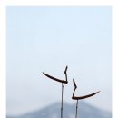 솟대 - 강남구 압구정로 334 | 솟대