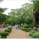 비자림의 아침 이미지