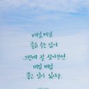 연꽃국수 이미지