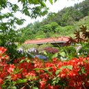 대둔산농장 이미지