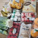 동탄솔빛로 | 동탄 반송동 마트 아이엠농부 방문기 | 과일 야채 간식 가성비 쇼핑 후기