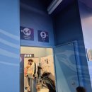 7203 | [코엑스/삼성역 아이와 가볼만한 곳] 아이와 실내 나들이 코엑스 아쿠아리움 솔직 후기