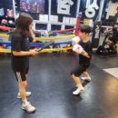Bee Boxing Gym 이미지