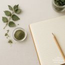 하모니 동물병원 | 반려견 프리미엄 간식 시장과 허브 교육이 필요한 이유