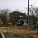 운동장.송담대역 Daum카페