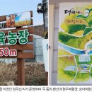 죽청농장 이미지