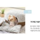 일루와 이미지