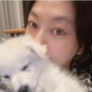 신애문구