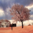 푸른동산어린이공원 이미지