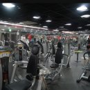 스타휘트니스 이미지