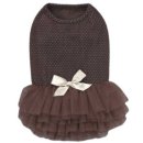 브라운퍼피 이미지