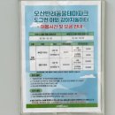 강아지테마미용실 이미지