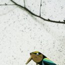 경제농장 티스토리