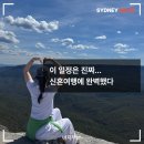 박달재초록꿈체험마을 | 시드니 신혼여행 2일 투어 2일차 후기 | 페더데일부터 블루마운틴 선셋, 별보기까지