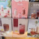 하삼동커피서동