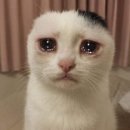 (주)푸하하닷컴 | 중국 톈진 (天津) 40만원 여행 上