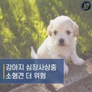 멍캐슬 네이버블로그