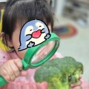 놀작마이아트도담도담미술교습소 이미지