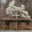 충혼탑 주차장 주변 이미지