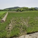 학산리농장 이미지