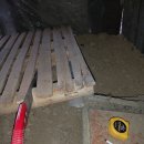 자연부화장 이미지