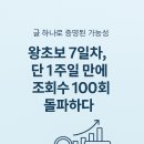 조회수 150회 돌파 실전 팁 – 천방지축 버티냥의 심쿵 두근두근 실전 체험후기 (꾸준히 많이쓰기, 타이밍)