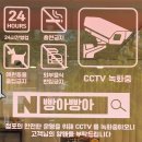시먼서천점 | 빵도 커피도 1,000원! 24시간 가성비 천원빵집 후기 [빵아빵아 화성봉담점]