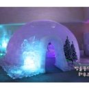 방울풍뎅이 이미지