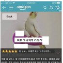 성인용품 - 고양시 일산동구 중앙로 1171 | 성인용품