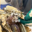 한솥 개포5단지점 | 태안 천북굴단지 한상굴집 후기! 늦게까지 하는 신생 굴집, 굴찜, 하프굴까지...