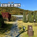 국내 가을 단풍여행 필수 코스, 이천 카페 티하우스에덴