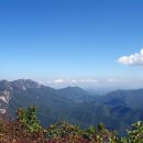 공설운동장 정문 이미지