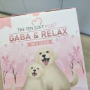 텐소프트 이미지