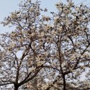 경화동행정복지센터 이미지