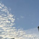 비비큐(BBQ)치킨 수원경기대점 이미지