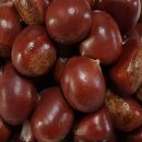 유리농원 이미지