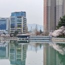 공원매점 이미지