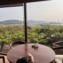 코코환경 | 요즘 후기 적어서 걱정했는데… 오키나와 코코가든 리조트 반전이었던 이유